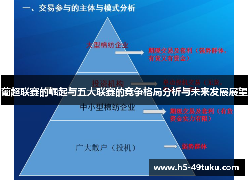 葡超联赛的崛起与五大联赛的竞争格局分析与未来发展展望