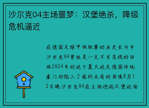 沙尔克04主场噩梦：汉堡绝杀，降级危机逼近